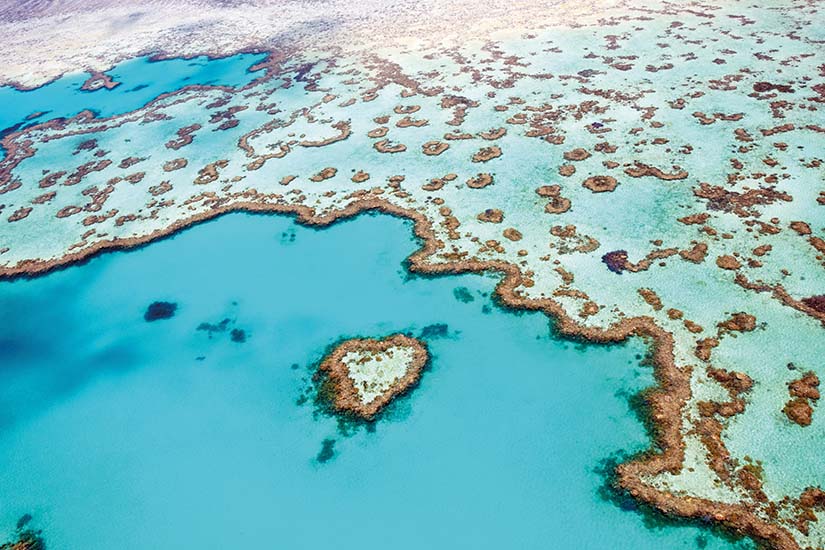 image Australie barriere de corail as_38905342
