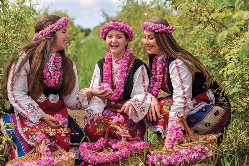 image Bulgarie Filles cueillette roses  fo