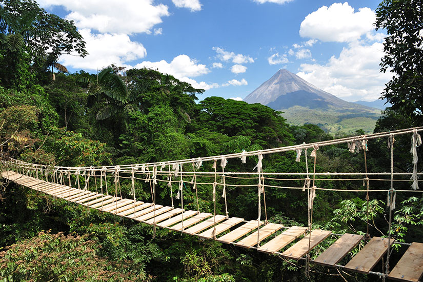 image Costa Rica Pont jungle  fo