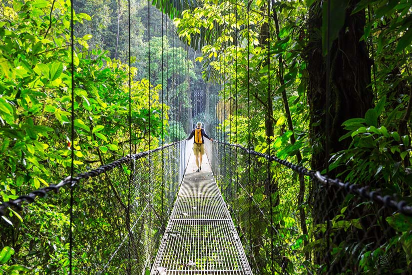 image Costa Rica Pont suspendu au parc national Arenal as_192413528