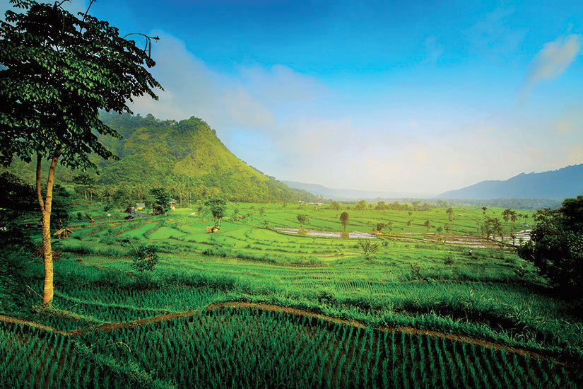 image Indonesie Bali  fo