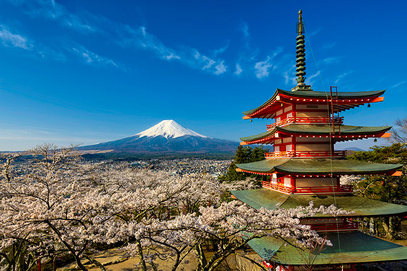 image Japon Mont Fuji pagode cerisiers  fo