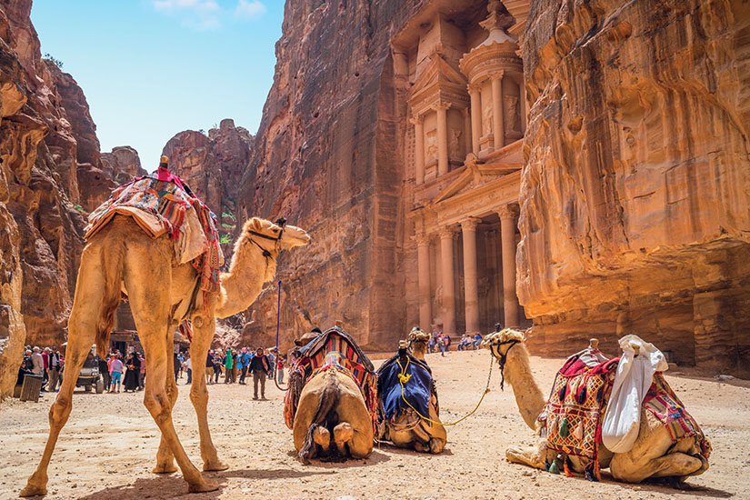 image Jordanie Petra chameaux devant la Khazneh as_276821806