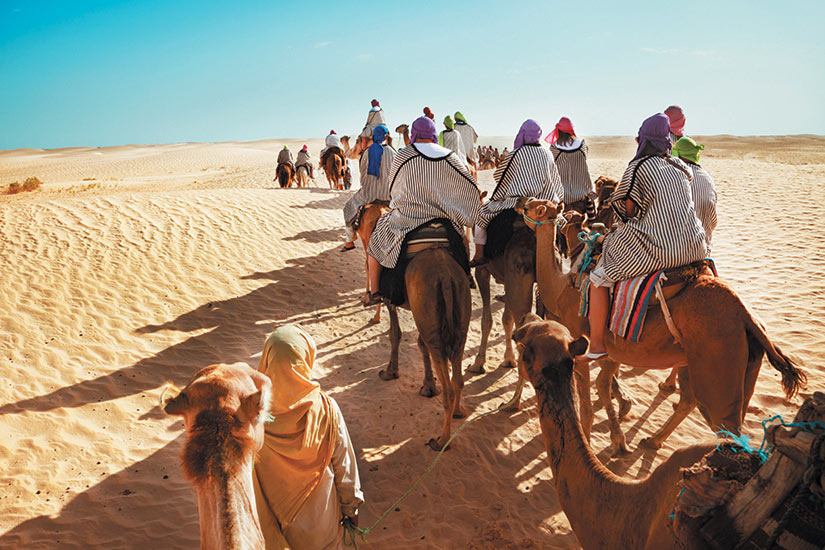 image Maroc Marrakech desert camile  fo