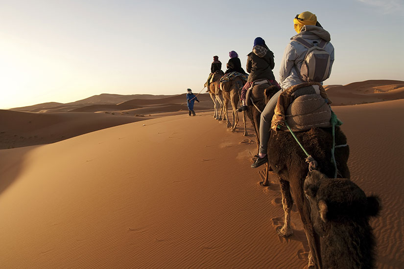 image Maroc touristes chameaux desert  it