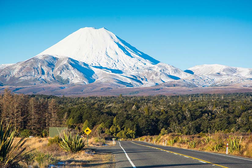 image Nouvelle Zelande Mont Tongariro as_295552158