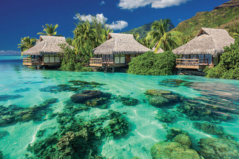 image Polynesie Francaise Moorea paysage au dessus et sous l eau complexe tropical  it