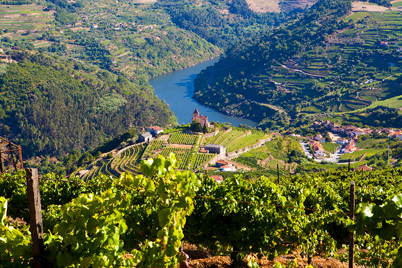 image Portugal Vallee Douro Vignoble  it
