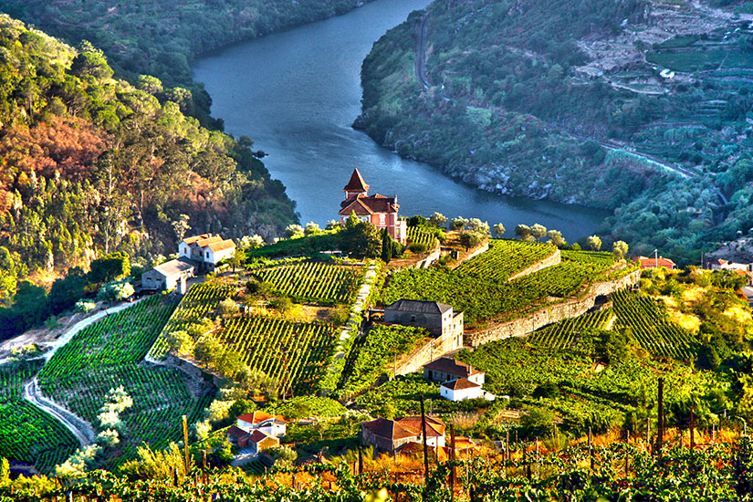 image Portugal Vallee du Douro is_502184686