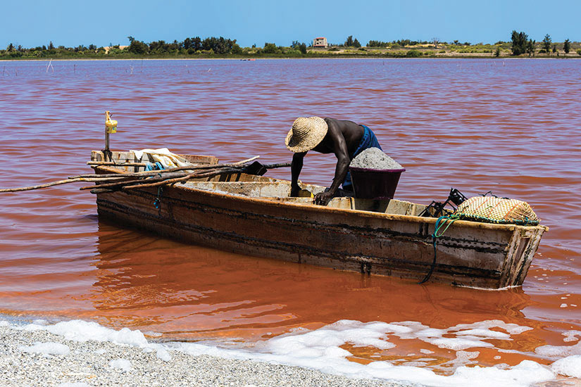 image Senegal lac Rose homme africain sur le bateau en boissur le lac Rouge  fo