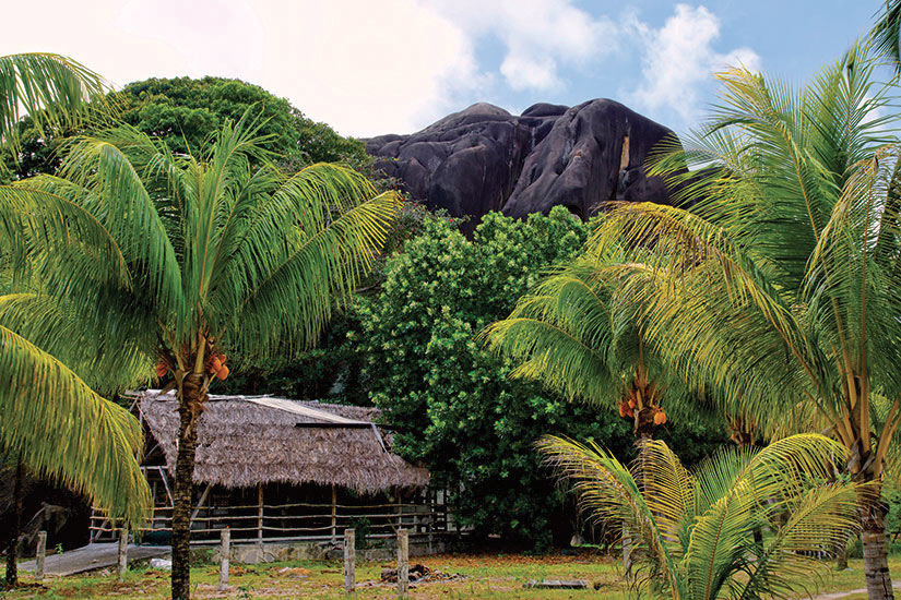 image Seychelles La Digue velles palmieres avec des montagnes de granit  fo