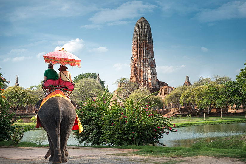 image Thailande Ayutaya Tour elephant  fo