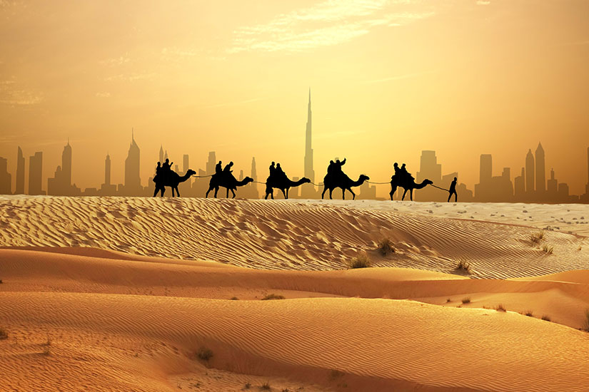 image emirats arabes unis Dubai chameaux desert as_249039762