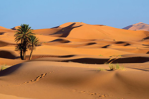 maroc sahara desert  fo